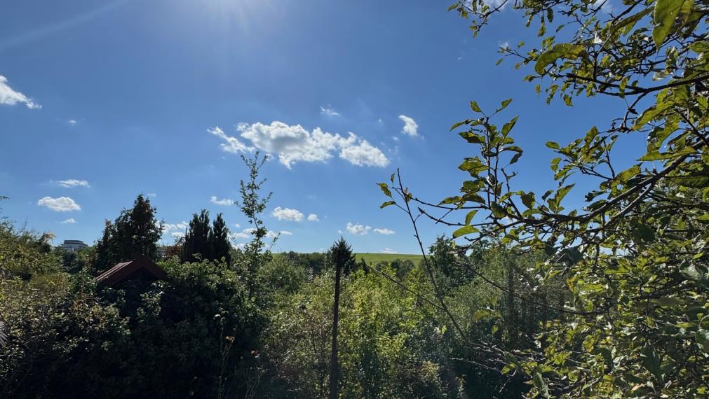 Na predaj záhrada v Košiciach - pod sídliskom Dargovských hrdinov