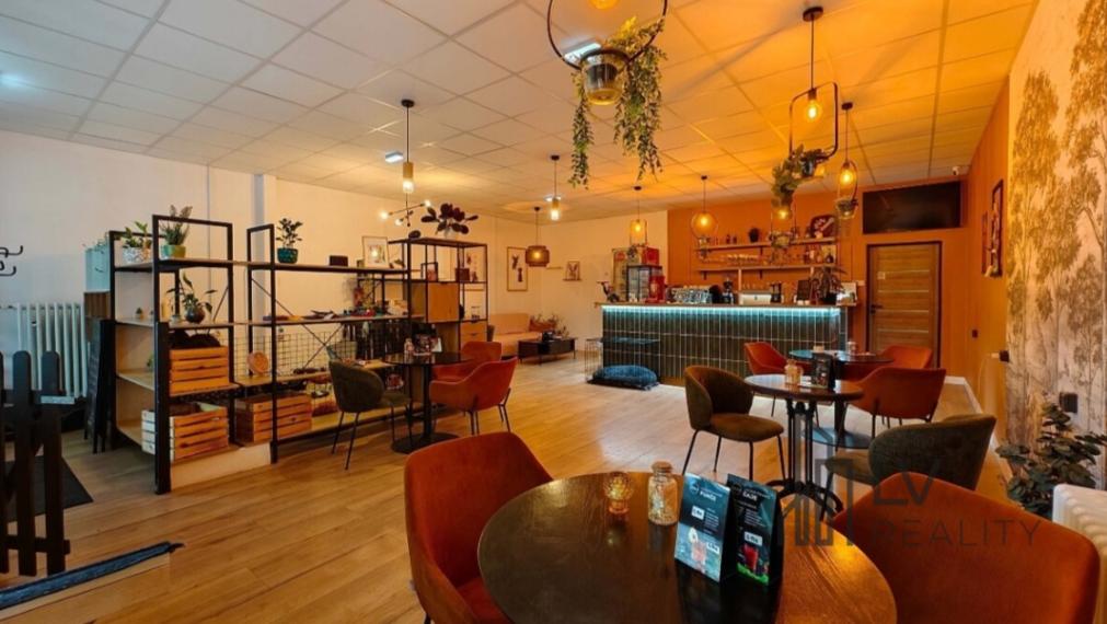 Priestor na prenájom s možnosťou odstúpenia - kaviareň a škôlka pre psov v OC Laborec, 106m2