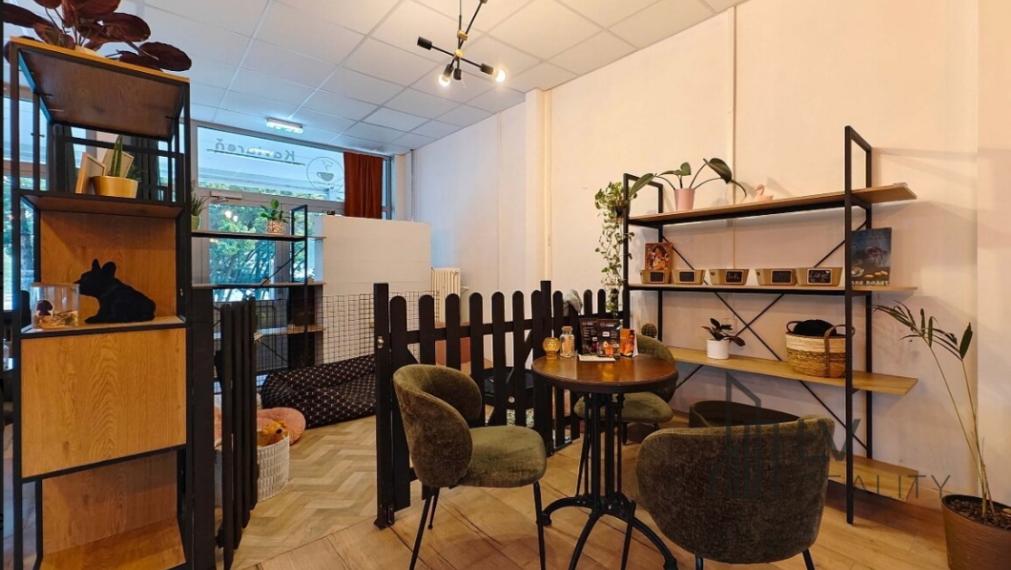 Priestor na prenájom s možnosťou odstúpenia - kaviareň a škôlka pre psov v OC Laborec, 106m2
