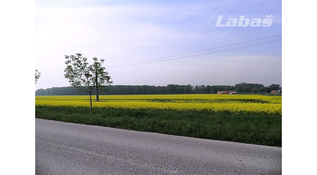 Pozemky na predaj, Dobrohošť - Žitný ostrov