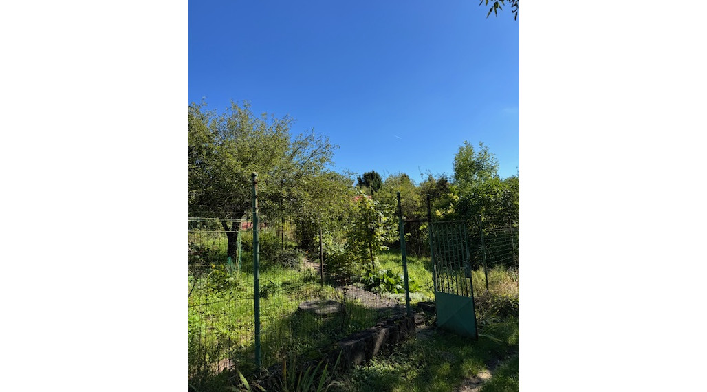 Na predaj záhrada v Košiciach - pod sídliskom Dargovských hrdinov