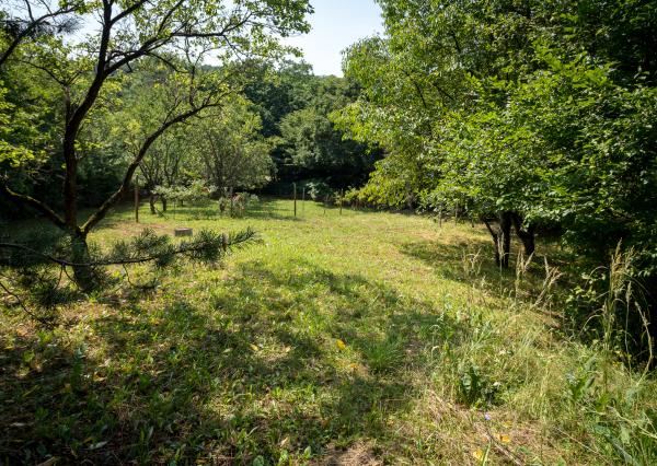 Na predaj záhradka v Košickej Novej Vsi, 584 m2
