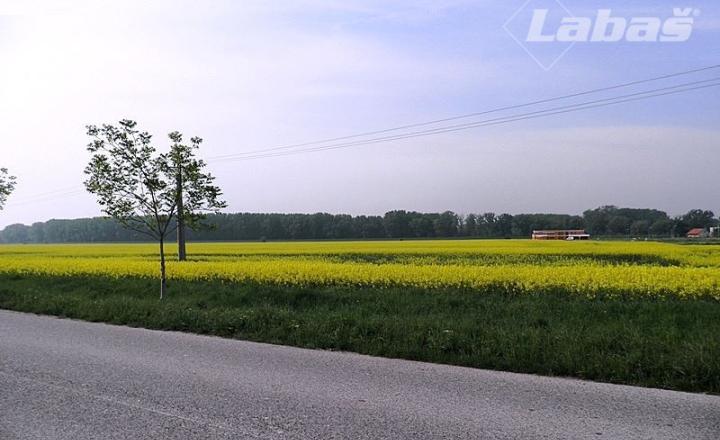 Pozemky na predaj, Dobrohošť - Žitný ostrov
