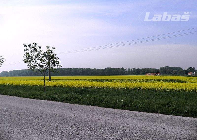 Pozemky na predaj, Dobrohošť - Žitný ostrov